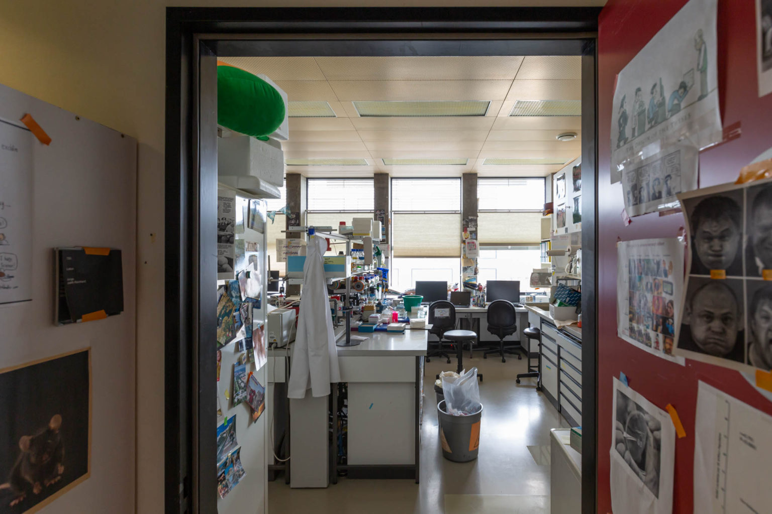 Biozentrum Universität Basel von Burckhardt+Partner © Architektur Basel