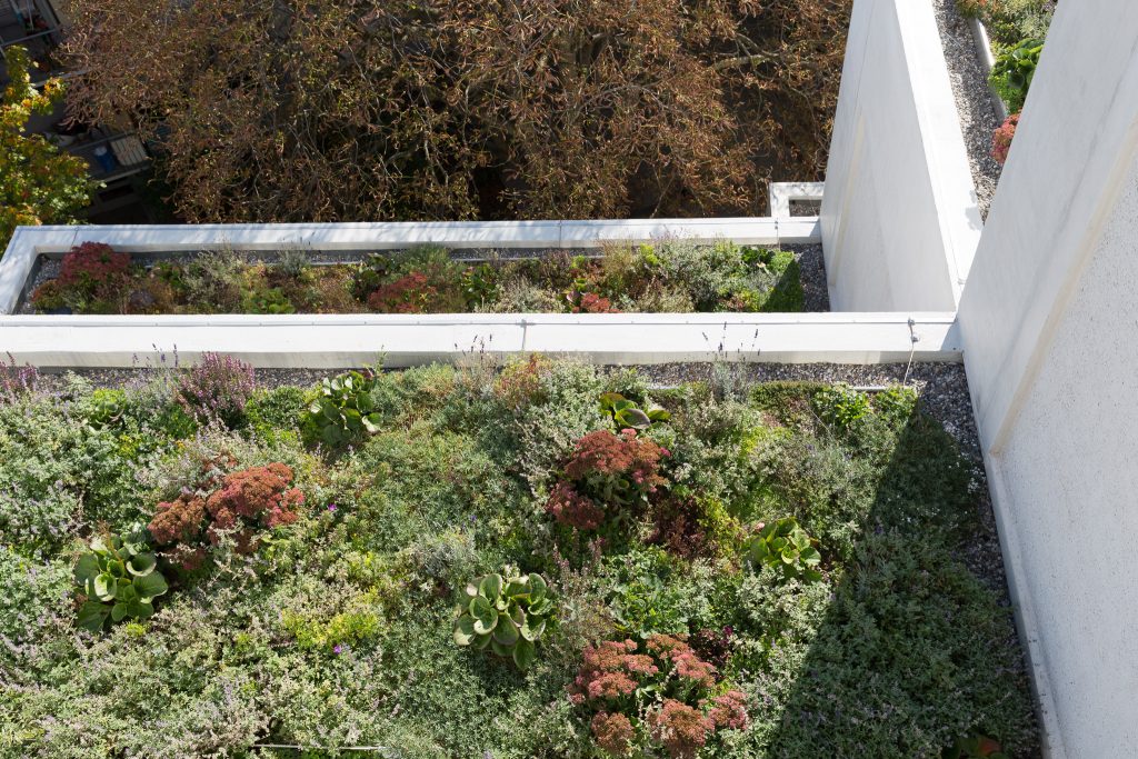 Primarschule Erlenmatt Foto A. Schärer