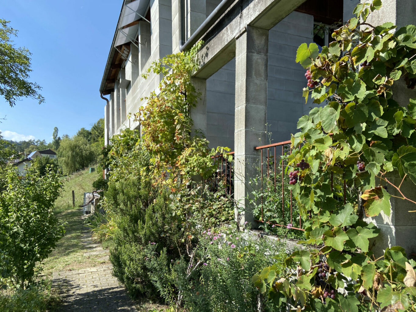 Michael Alder brachte die Loggia ins Baselbiet: Die Fassade des Doppeleinfamilienhauses am Sevogelweg in Ziefen ist räumlich zu verstehen; offene und geschlossene Loggiabereiche, Durchgänge und konventionelle Fenster © Simon Heiniger / Architektur Basel