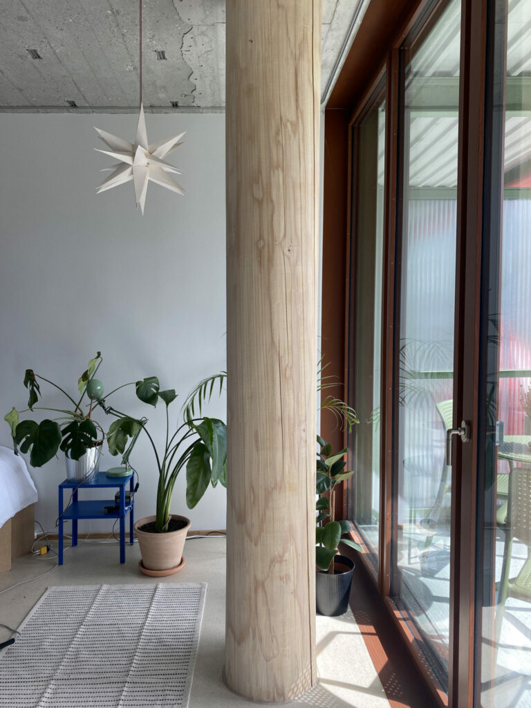 Das Tragwerk wurde entlang der Fassade um massive Holzstützen ergänzt, die die Raumwirkung massgeblich prägen.