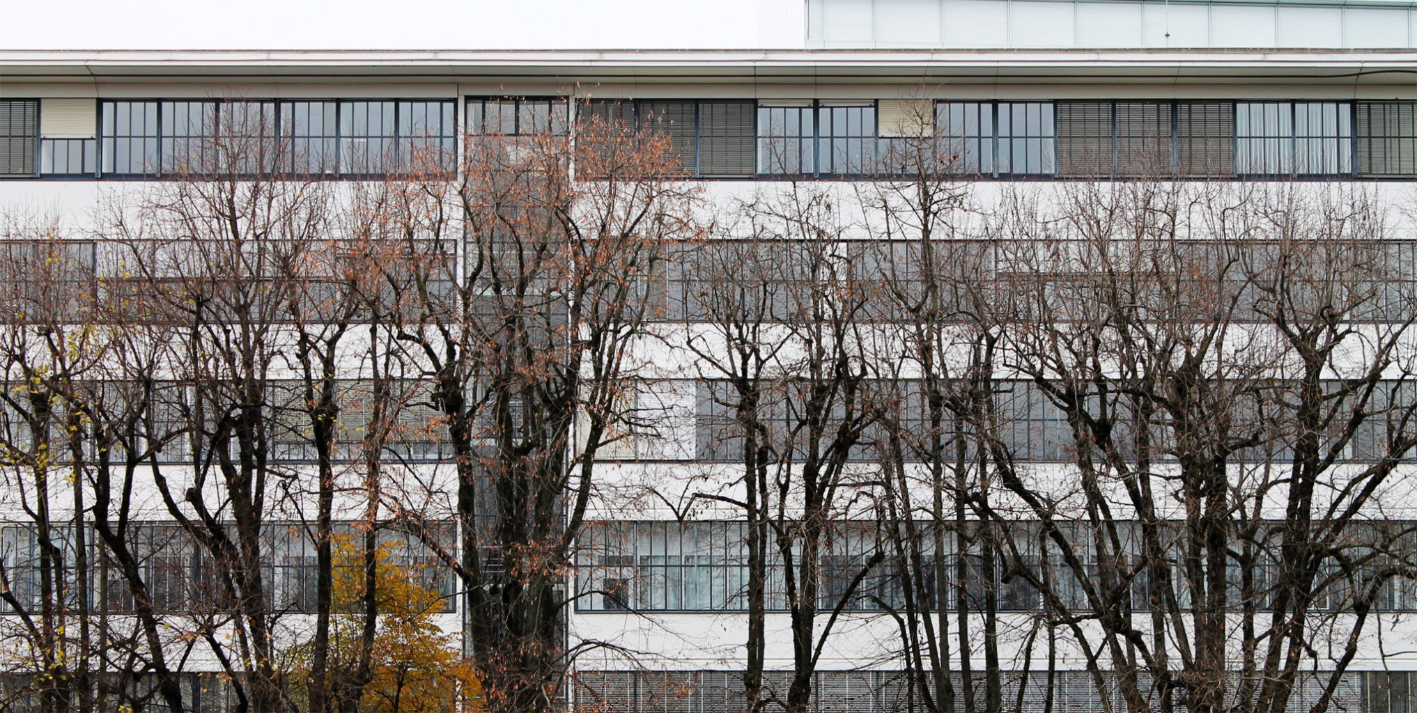 Roche Südareal © Architektur Basel