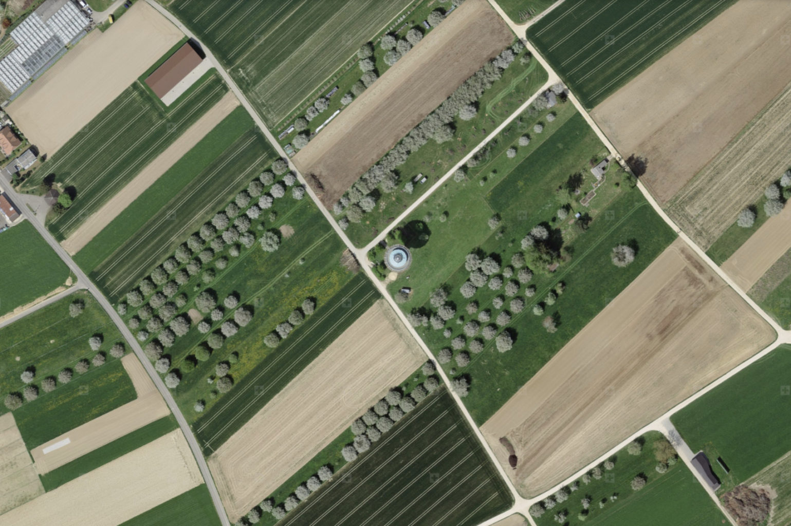 Fast kunstvoll gesellt sich der Wasserturm in Schönenbuch zu den Bäumen im Feld, Grundlagen: © Bundesamt für Landestopografie swisstopo