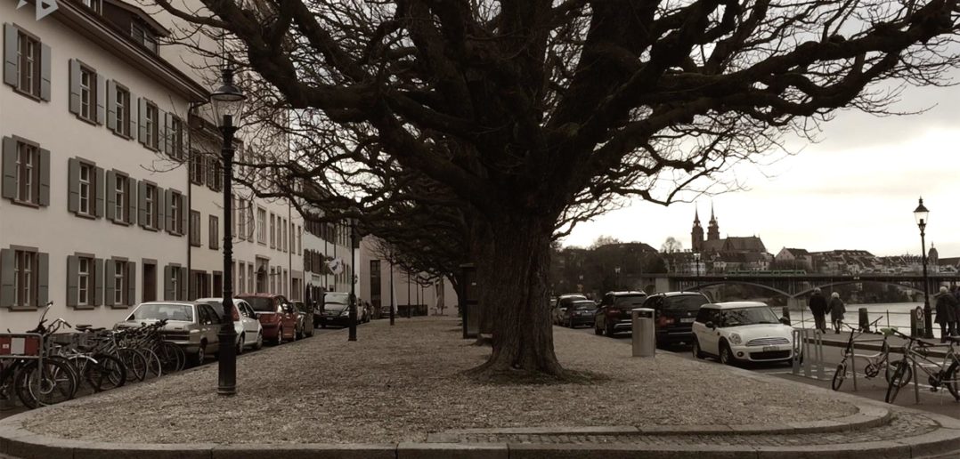 Platz am St. Alban-Rheinweg, Basel © Architektur Basel