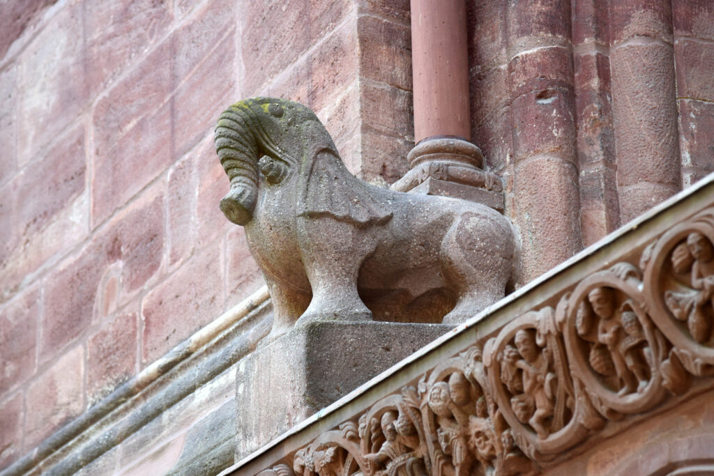 Ein Elefant am Basler Münster? Ja, das gibts! © Simon Heiniger / Architektur Basel