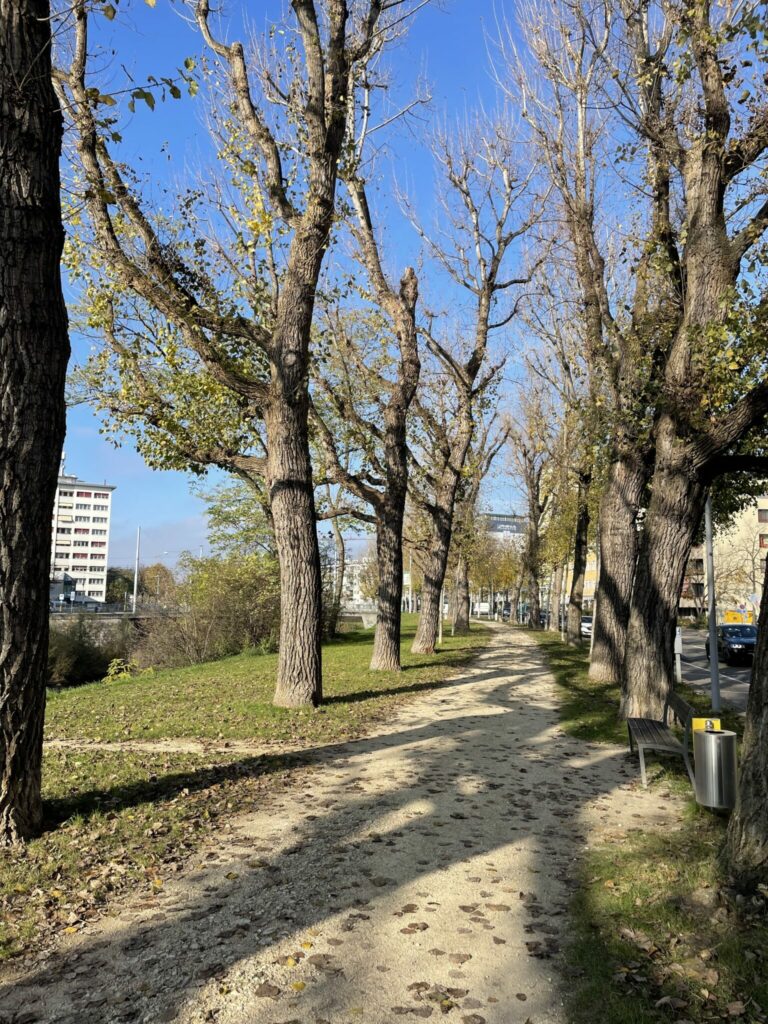 Why does the city gardening department cut down 261 trees?