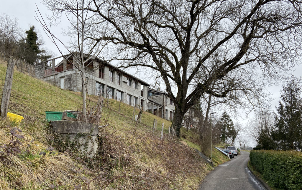 Am Südhang mit Aussicht: Doppelwohnhaus Alder in Ziefen © Simon Heiniger / Architektur Basel
